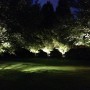 IMG_3802